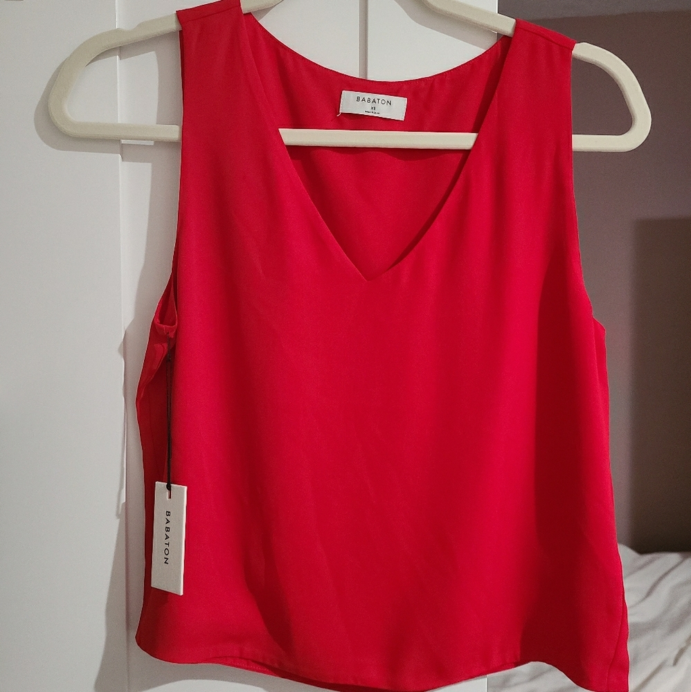 Aritzia Babaton Murphy Blouse